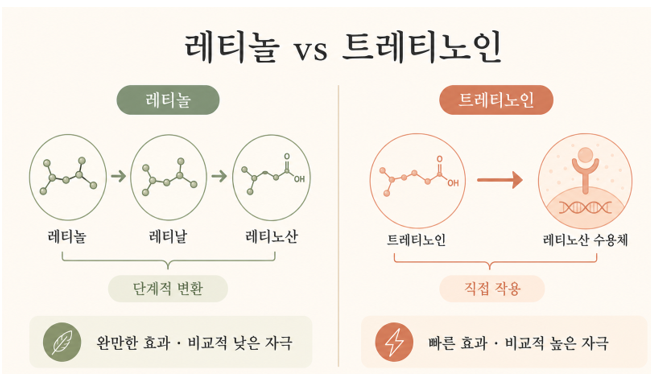 비타민 A? 레티놀? 트레티노인? 헷갈리는 비타민 A 성분, 한 번에 정리해드립니다!