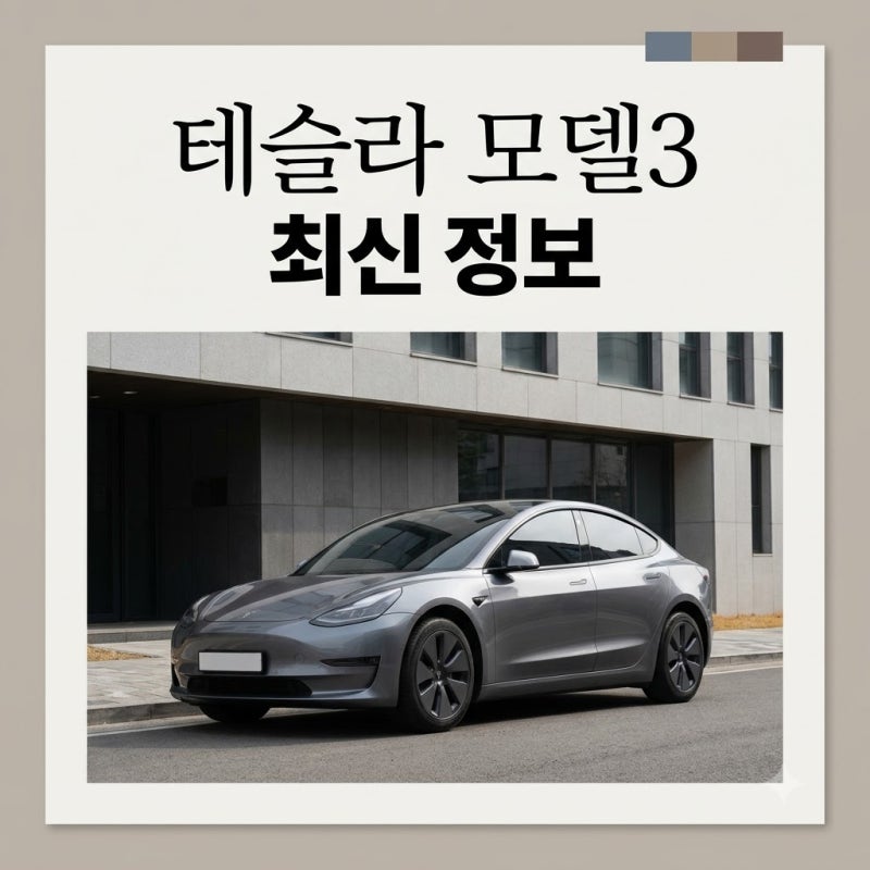 테슬라 모델3 최신 가격, FSD, 보조금 총정리! 9월까지 자체 지원?