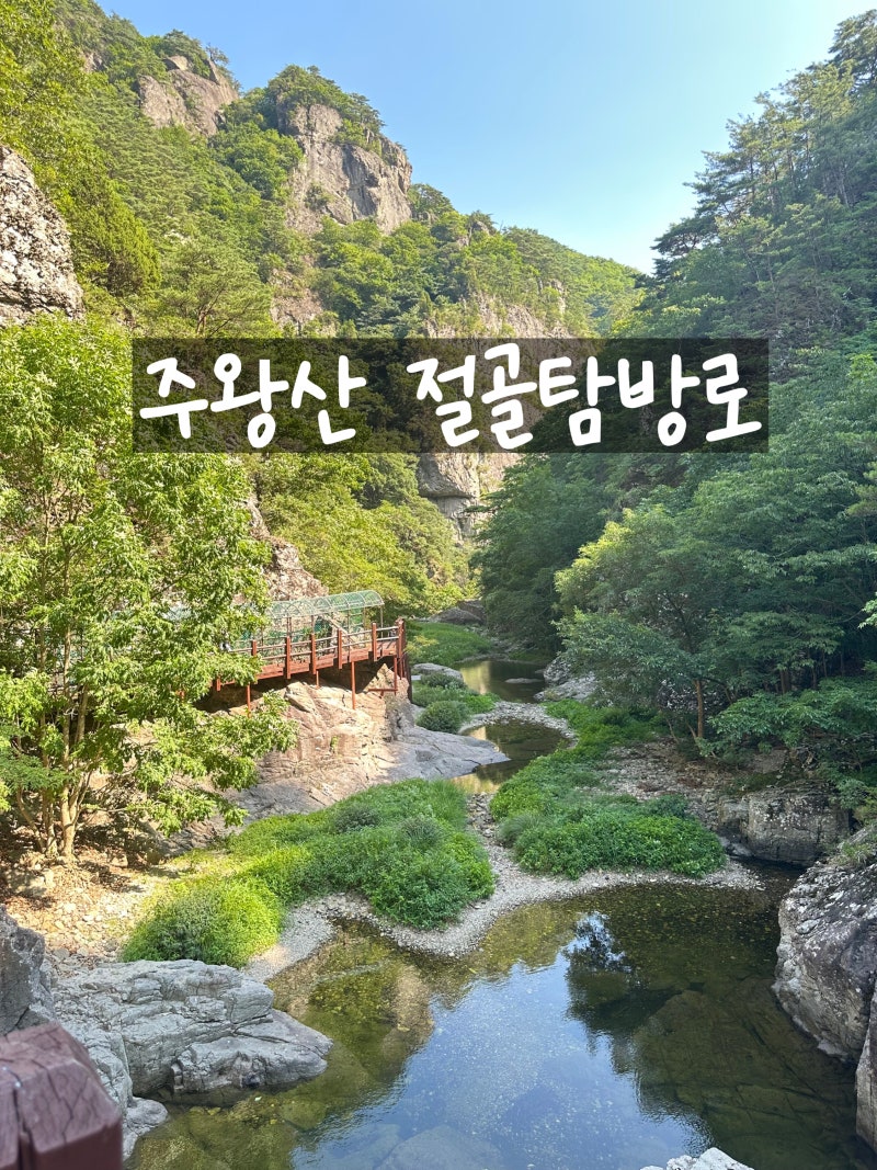 청송 절골탐방로 후기, 한여름에도 시원했던 주왕산 계곡 트래킹 코스