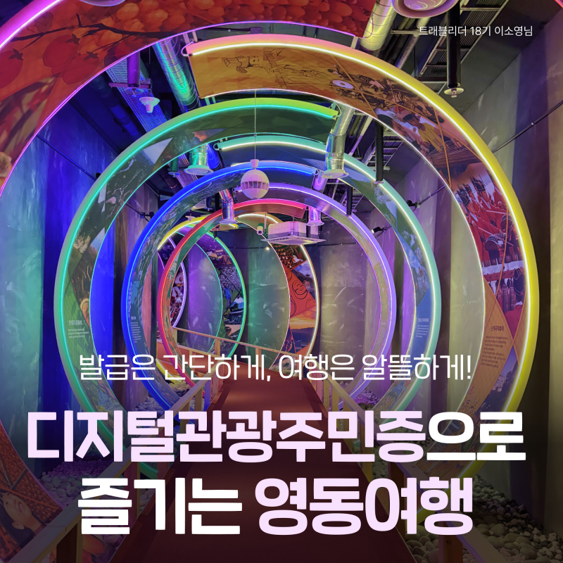 2026 디지털관광주민증 발급방법 및 할인혜택 :: 영동 가성비 여행 (영동 와인터널 및 레인보....