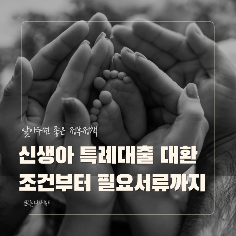 신생아 특례대출 대환 조건 소득심사와 신청 방법