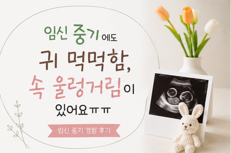 임신 중기 22주 23주 24주 25주 26주 27주 28주 귀막힘 울렁거림 증상