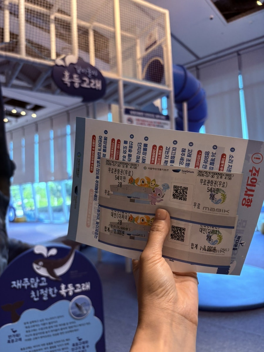 바다마을 사진 6