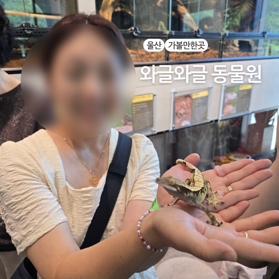 와글와글동물원 사진