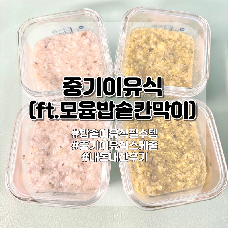 모윰 실리콘 밥솥 칸막이로 쉽고 편하게 만드는 중기이유식 (중기이유식 스케줄)
