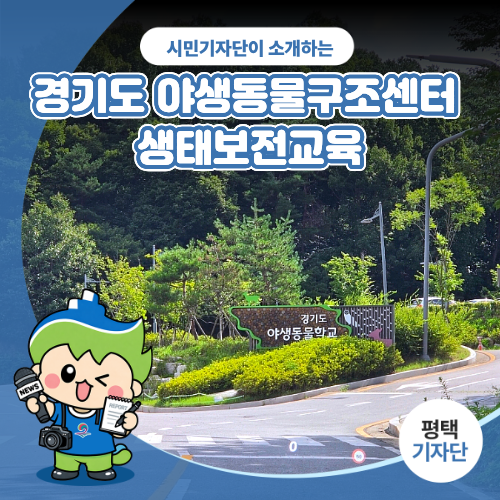 평택시민기자단 | 평택 아이와 가볼만한곳 경기도 야생동물구조센터 생태보전교육