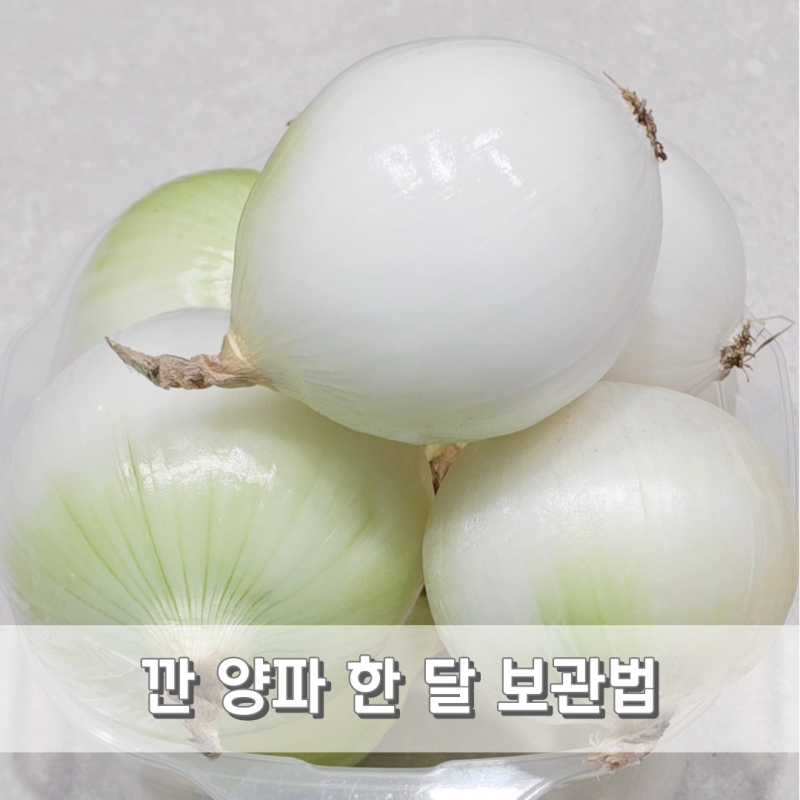 깐 양파 한 달 오래 보관방법 꿀팁과 양파의 효능