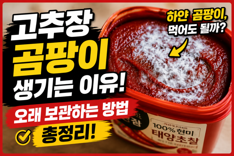 고추장 곰팡이 생기는 이유! 하얗게 피었을 때 먹어도 될까? 보관법 총정리