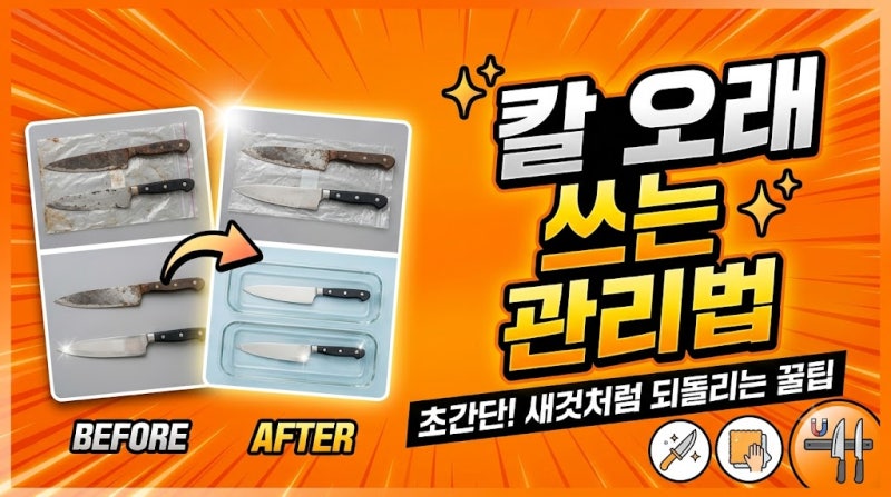 칼 오래 쓰는 관리법, 무뎌지지 않고 오래 사용하는 주방 칼 관리 꿀팁