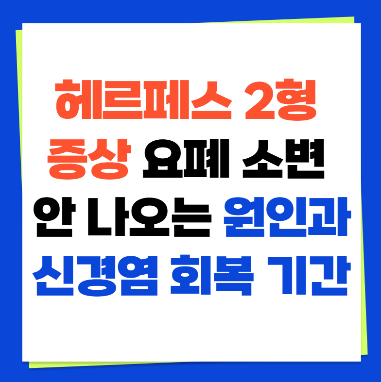 헤르페스 2형 증상 요폐 소변 안 나오는 원인과 신경염 회복 기간
