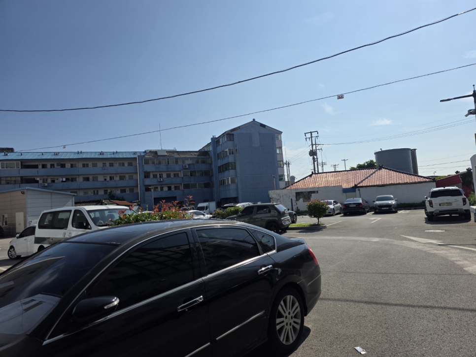 순두부 사진 3