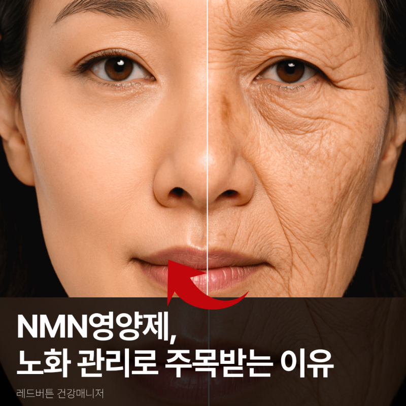 NMN영양제 효능, 노화방지와 피부에 정말 도움 될까?