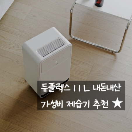 드레스룸·원룸 제습기 추천 | 듀플렉스 11L 내돈내산 실사용 후기