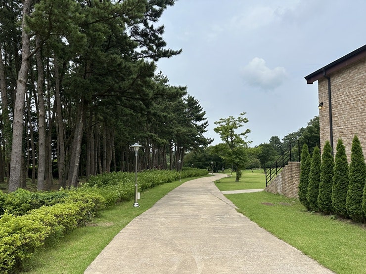 이끼숲소길 사진 2