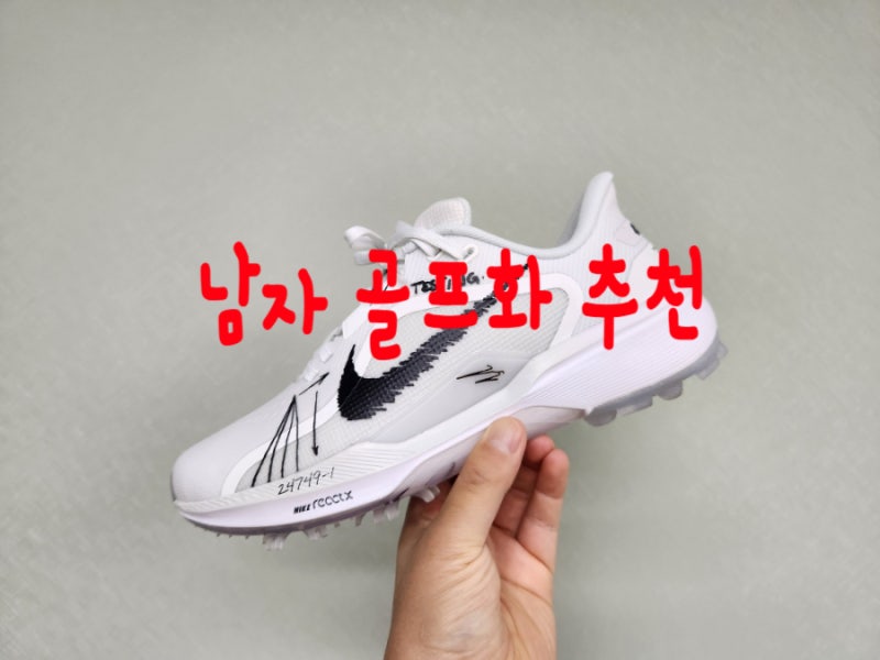 남자골프화 추천(나이키 페가수스 1 G)