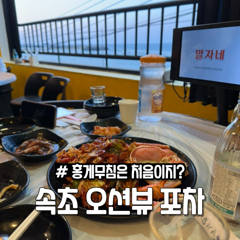 속초 영랑동 맛집 말자네포차 홍게무침과 오션뷰