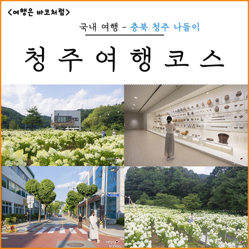 청주 가볼만한곳 당일치기 나들이 코스로 딱 좋았던 세 곳, 목수국 카페&국립청주박물관&하....