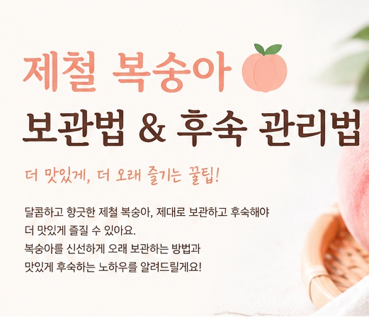 제철 복숭아 오래 맛있게 먹는 법! 맛있는 복숭아 고르는 법부터 보관·후숙 관리까지 총정리