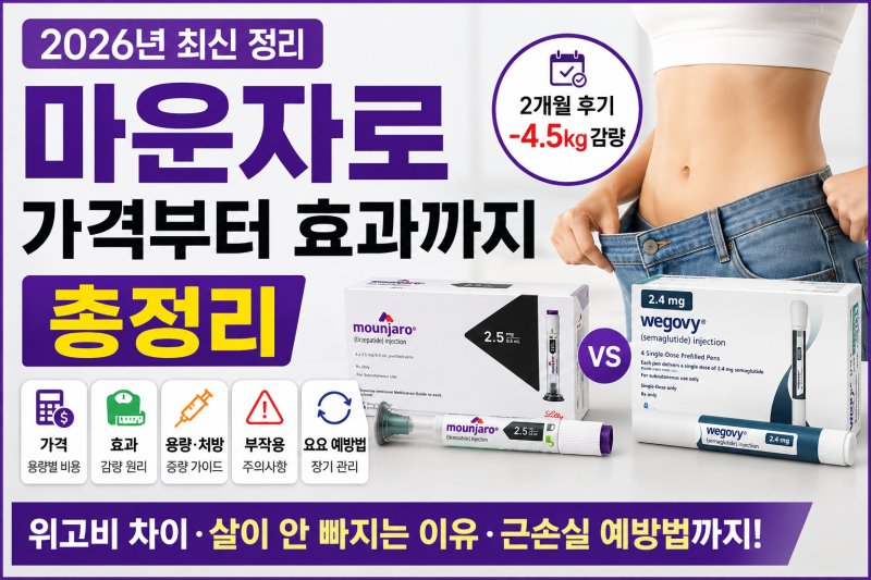 마운자로 가격부터 효과까지 총정리｜위고비 차이·부작용·요요까지