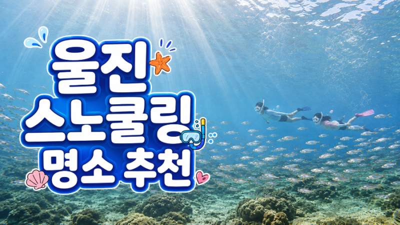 울진 스노클링 명소 5곳 총정리｜주차,샤워장,수심 정보