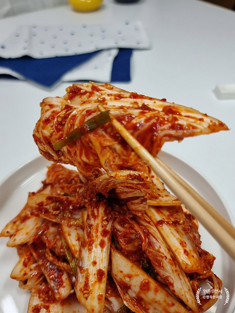 여름 알배기배추 겉절이 레시피, 1포기로 입맛 살리는 배추김치 담그기