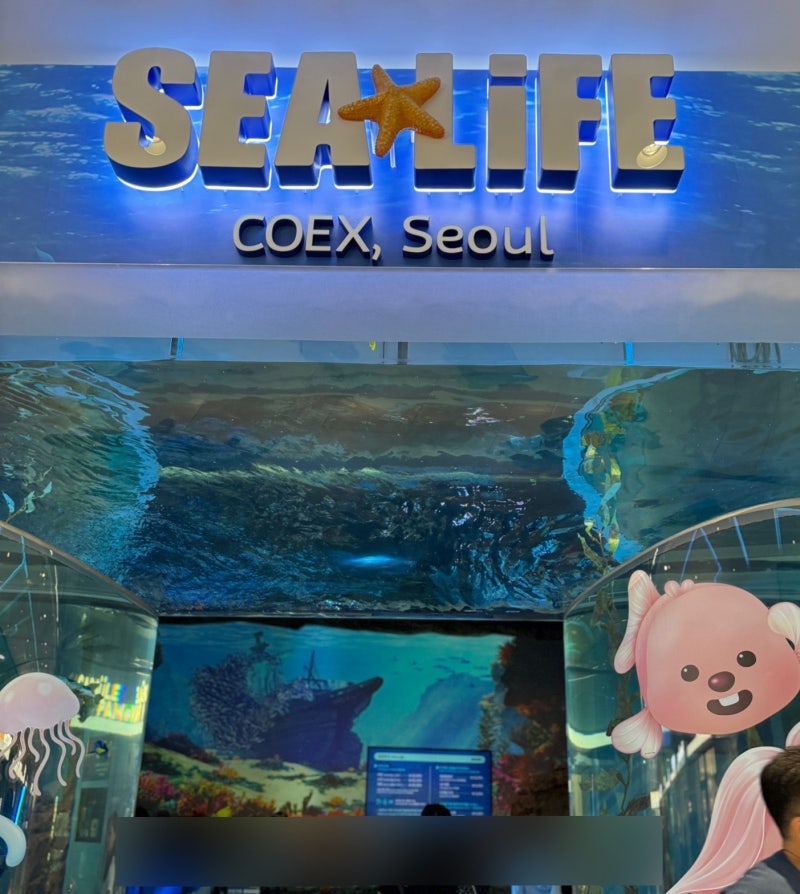 코엑스 아쿠아리움 할인 가격 인어쇼시간 주차할인