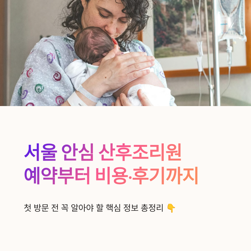 서울 안심 산후조리원 예약 방법 비용 후기까지 한눈에 정리