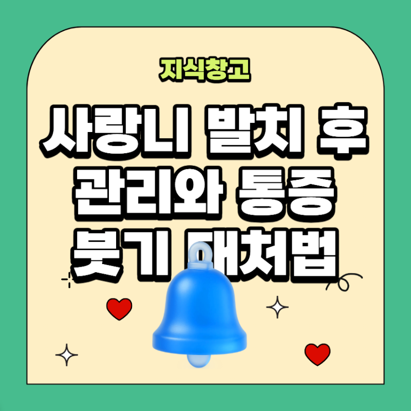 사랑니 발치 후 첫 24시간 관리와 통증·붓기 대처법