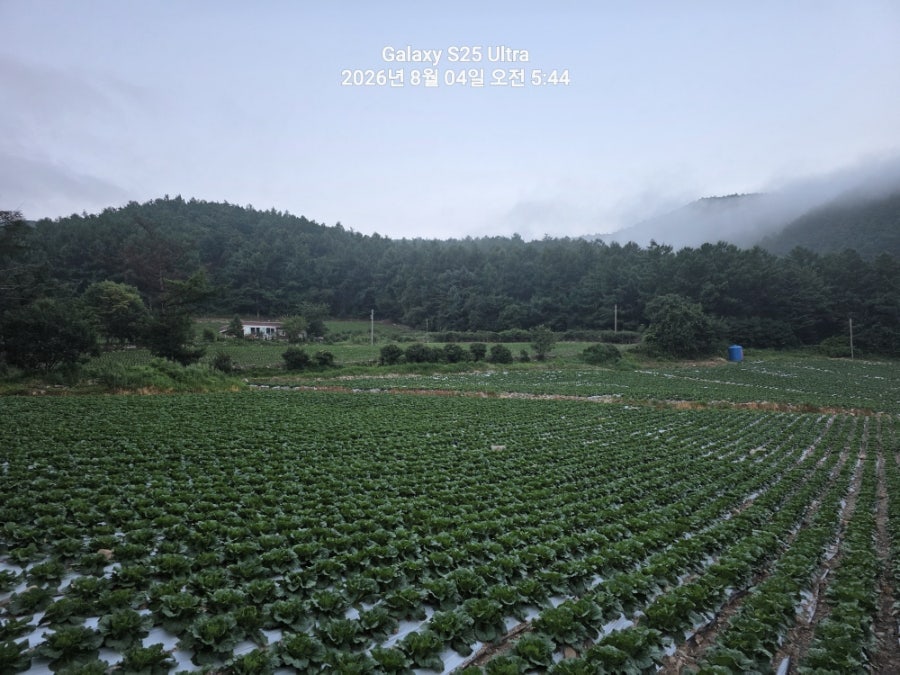 태백산국립공원 사진 6