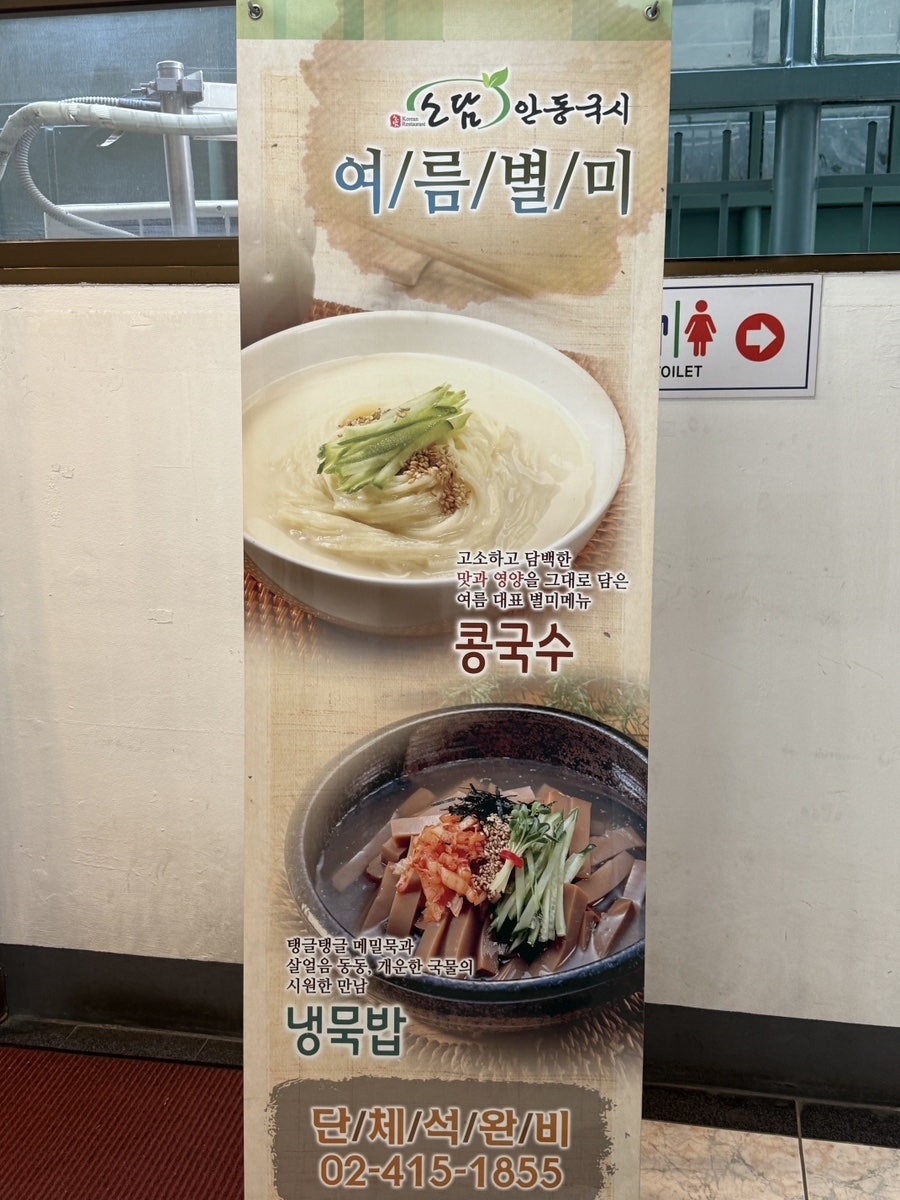 콩 사진 4