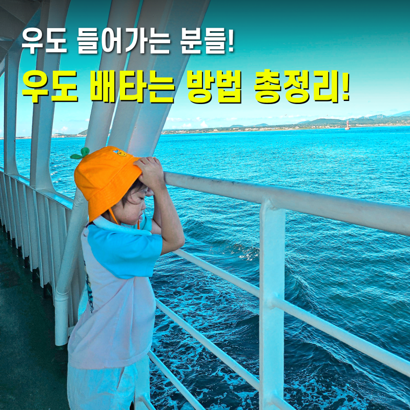 우도 배시간 예약 배편 8월 9월 시간표 차량승선 우도가는배 배타는곳