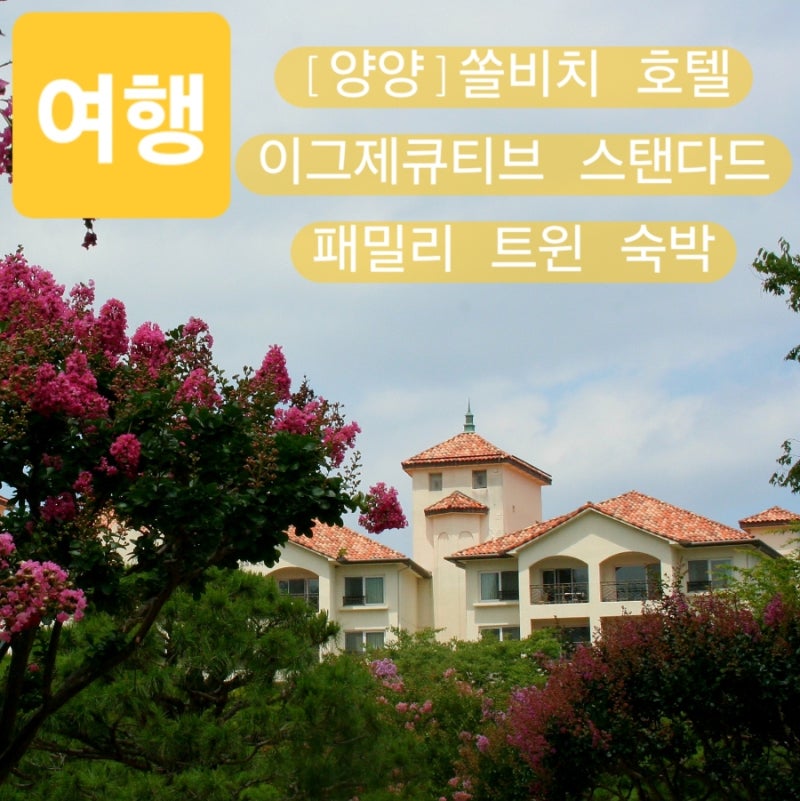 양양쏠비치 호텔 4인가족 여름휴가 숙소 추천 이그제큐티브 스탠다드 패밀리 트윈 1박 후기