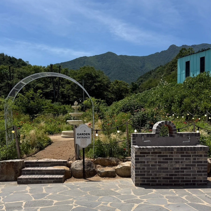 메종블룸 사진 6