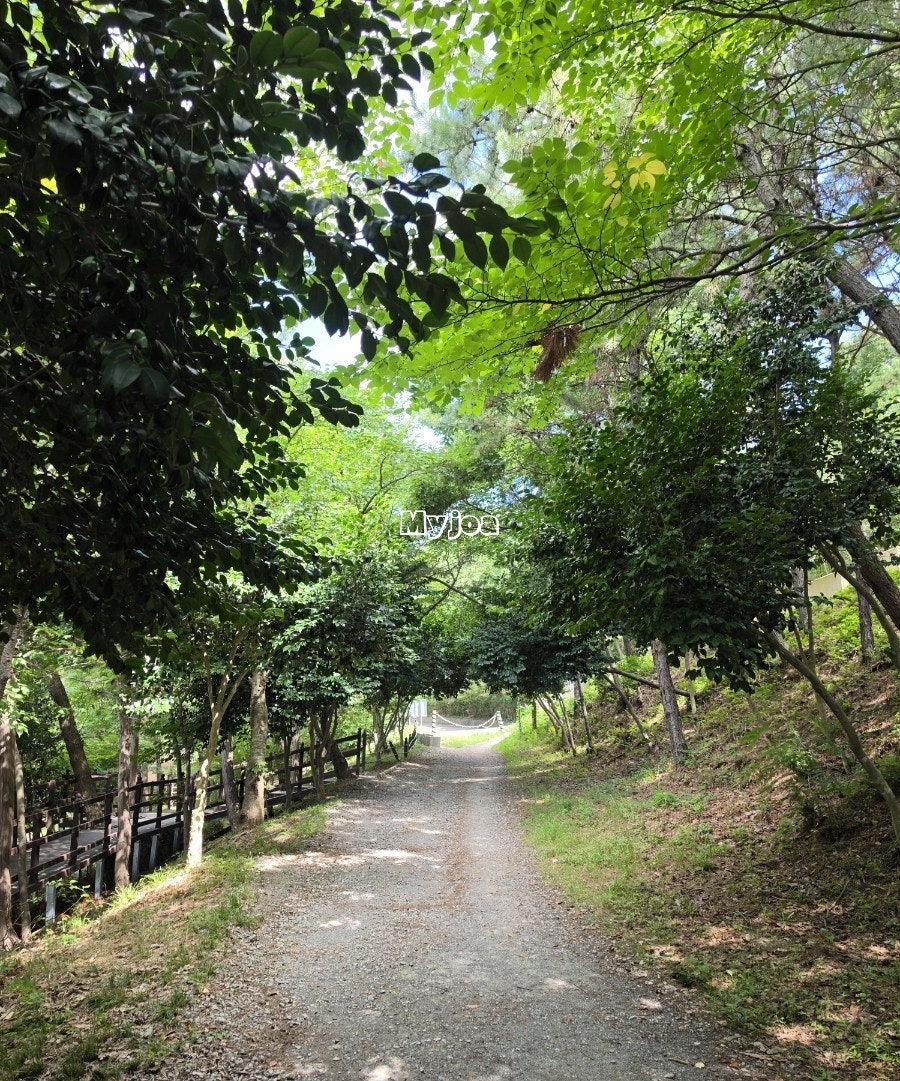 양을산 사진 5
