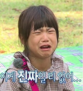 벼룩파리 퇴치 방법 / 날파리 박멸 최종정리본 / 벼룩파리 날파리 차이 포충기 끈끈이