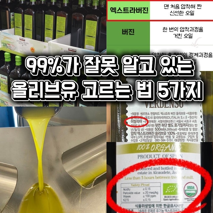 99%가 잘못 알고 있는 올리브유 고르는 법 5가지!