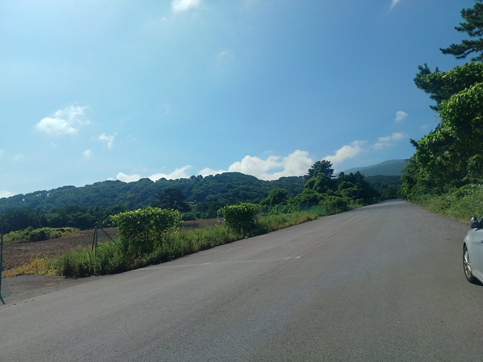오름 사진 3