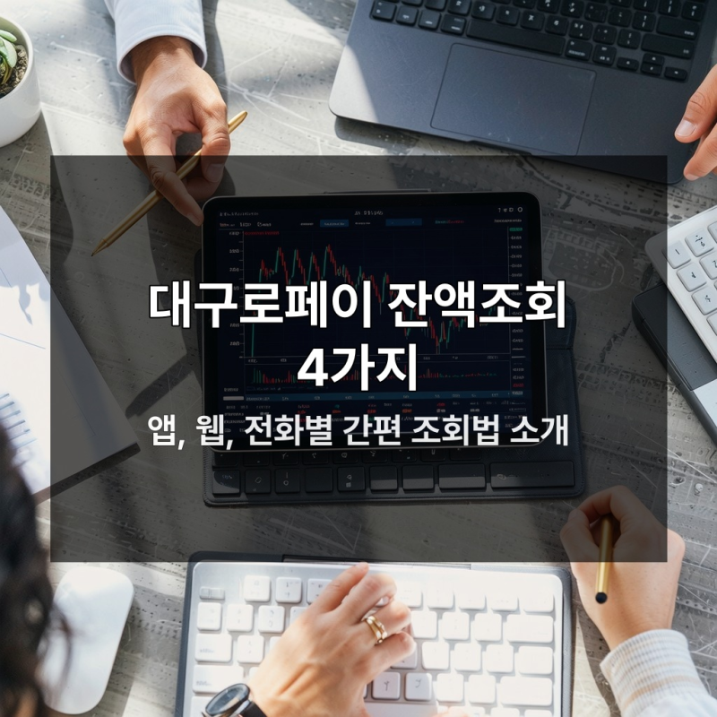 대구로페이 잔액조회 방법 4가지 완전정복