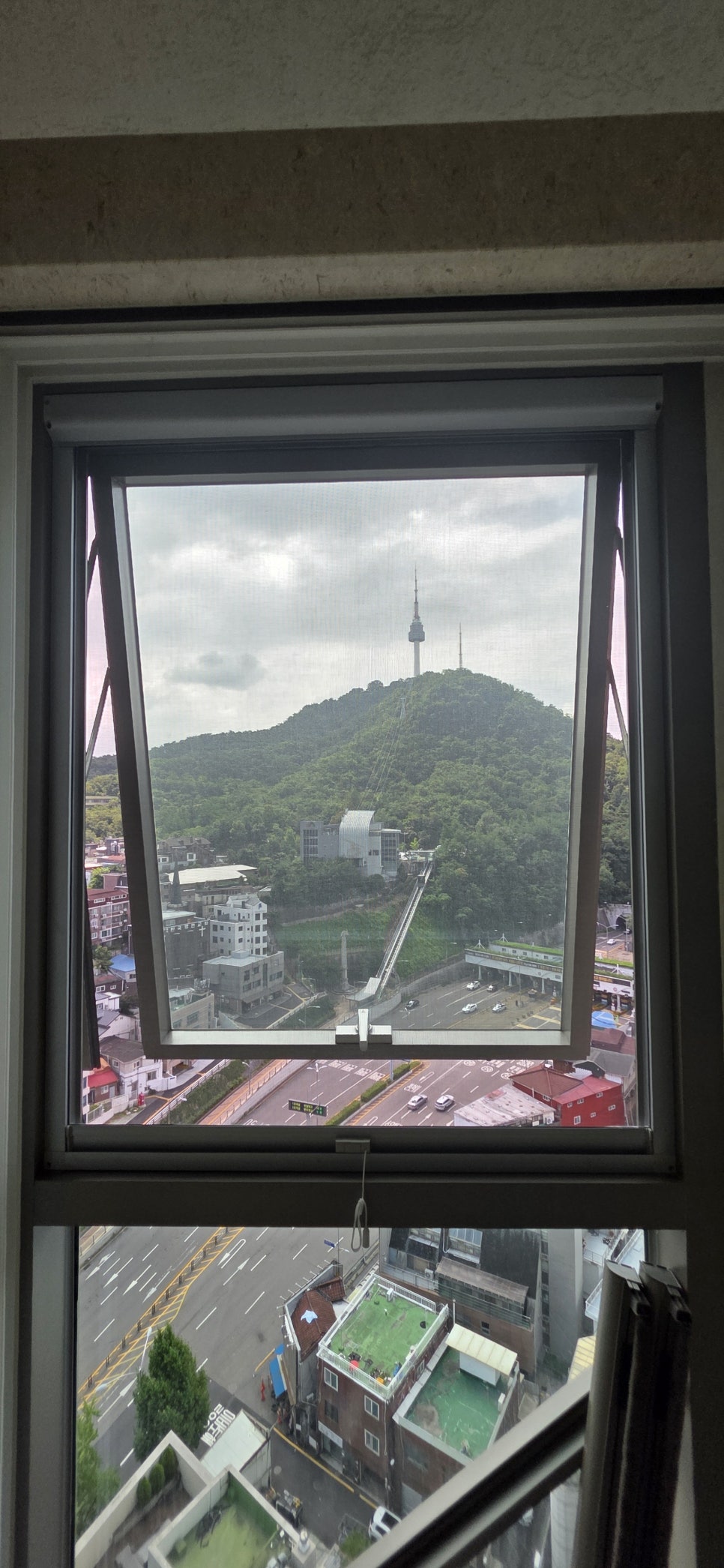 아이리스 사진 2