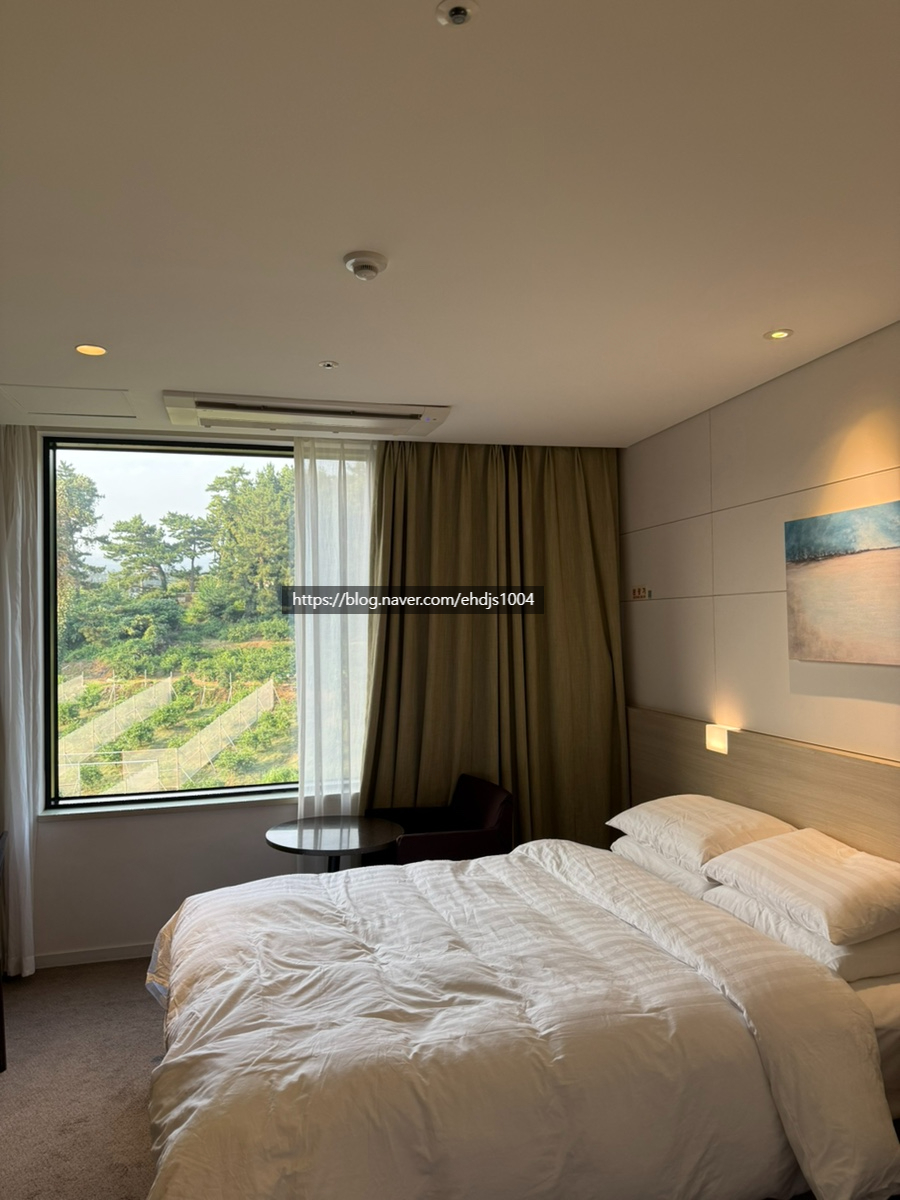호텔더본 제주 사진 1