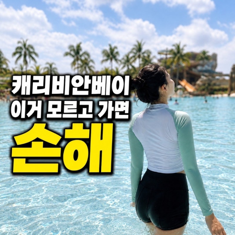 8월 SKT T day 캐리비안베이 50% 할인 총정리 (+43,500원 예약 방법·준비물·에버랜드 무료입장 꿀....