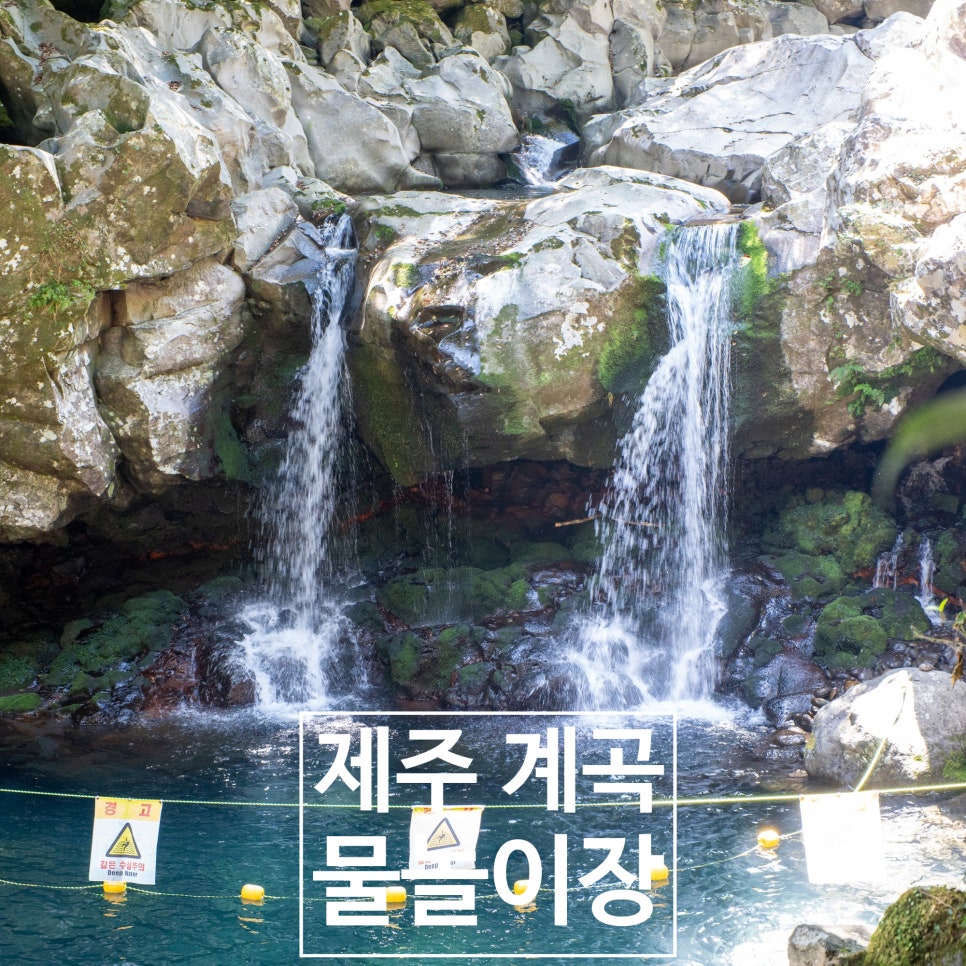 돈내코유원지 사진 1