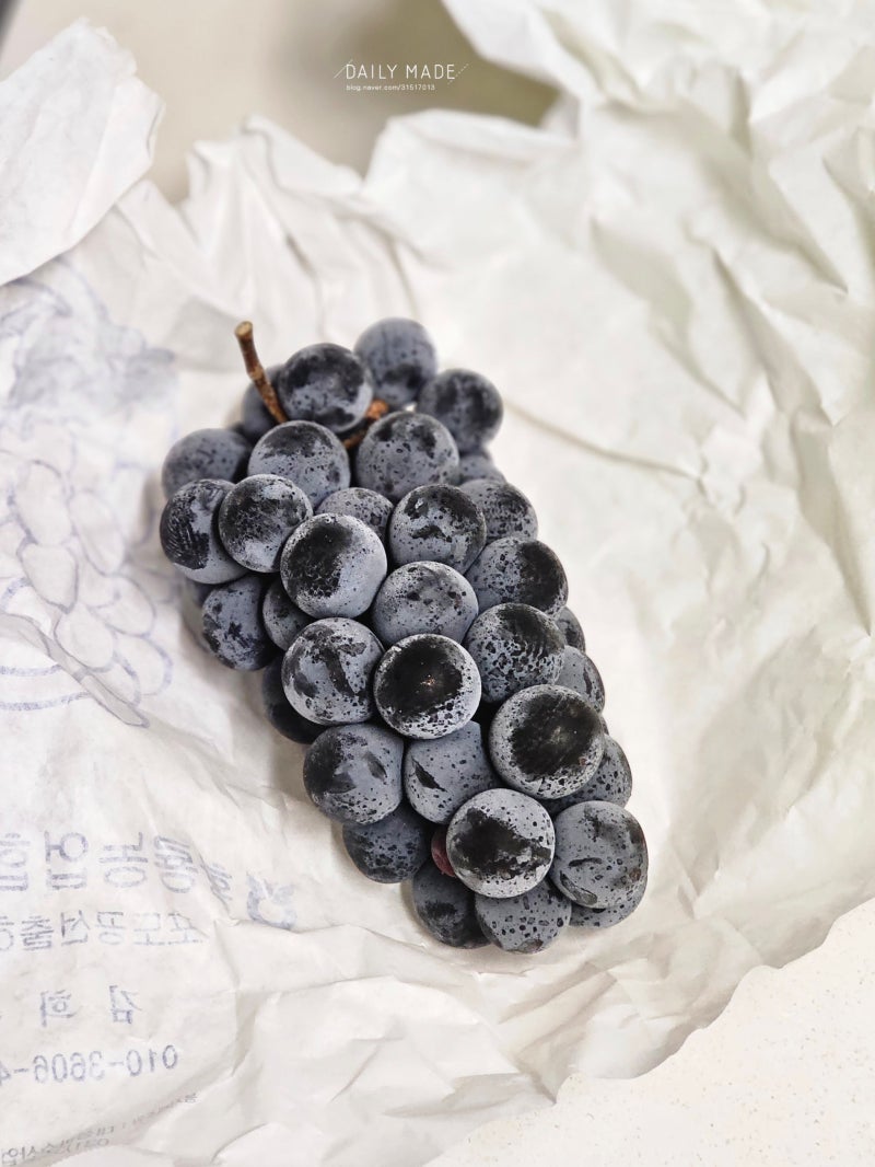 여름 제철 과일 포도 보관법 포도 세척하는 방법