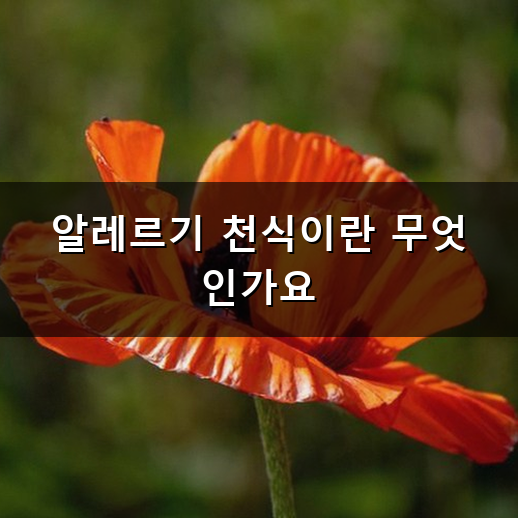알레르기 천식의 원인과 올바른 관리 방법