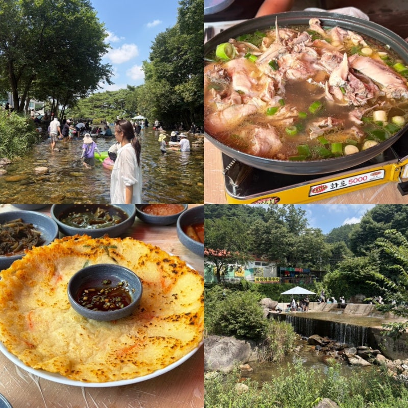 강원도 원주 용수골가든｜아이들과 가기 좋은 계곡식당 (예약, 주차, 메뉴)