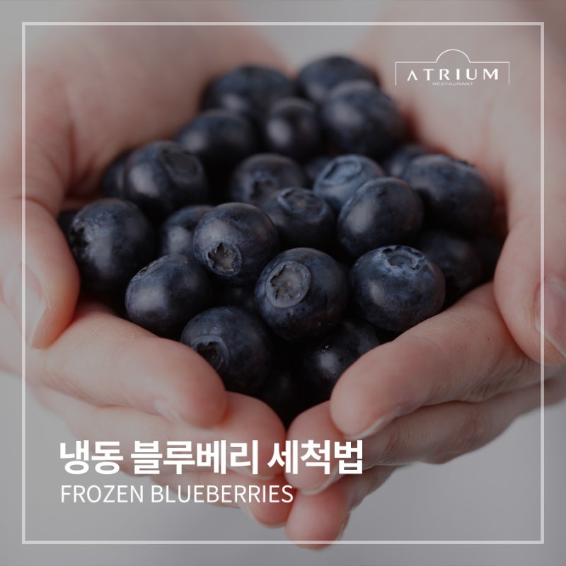 냉동 블루베리 세척법 그냥 먹어도 될까? 칼로리 활용법