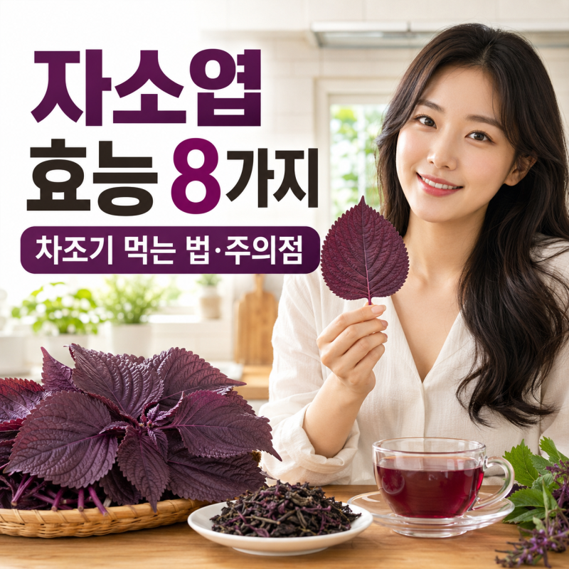 자소엽 효능 8가지, 보라색 깻잎 차조기 먹는 법과 주의점