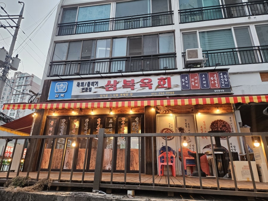 삼복 사진 2