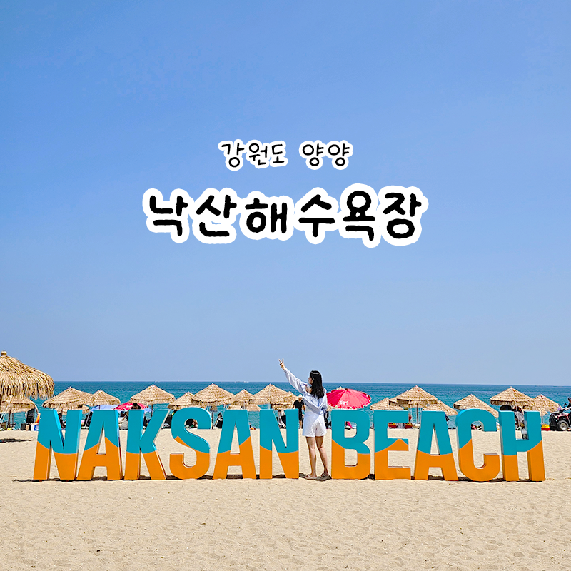 강원도 양양 낙산해수욕장 바다 수영 조개 잡는 방법