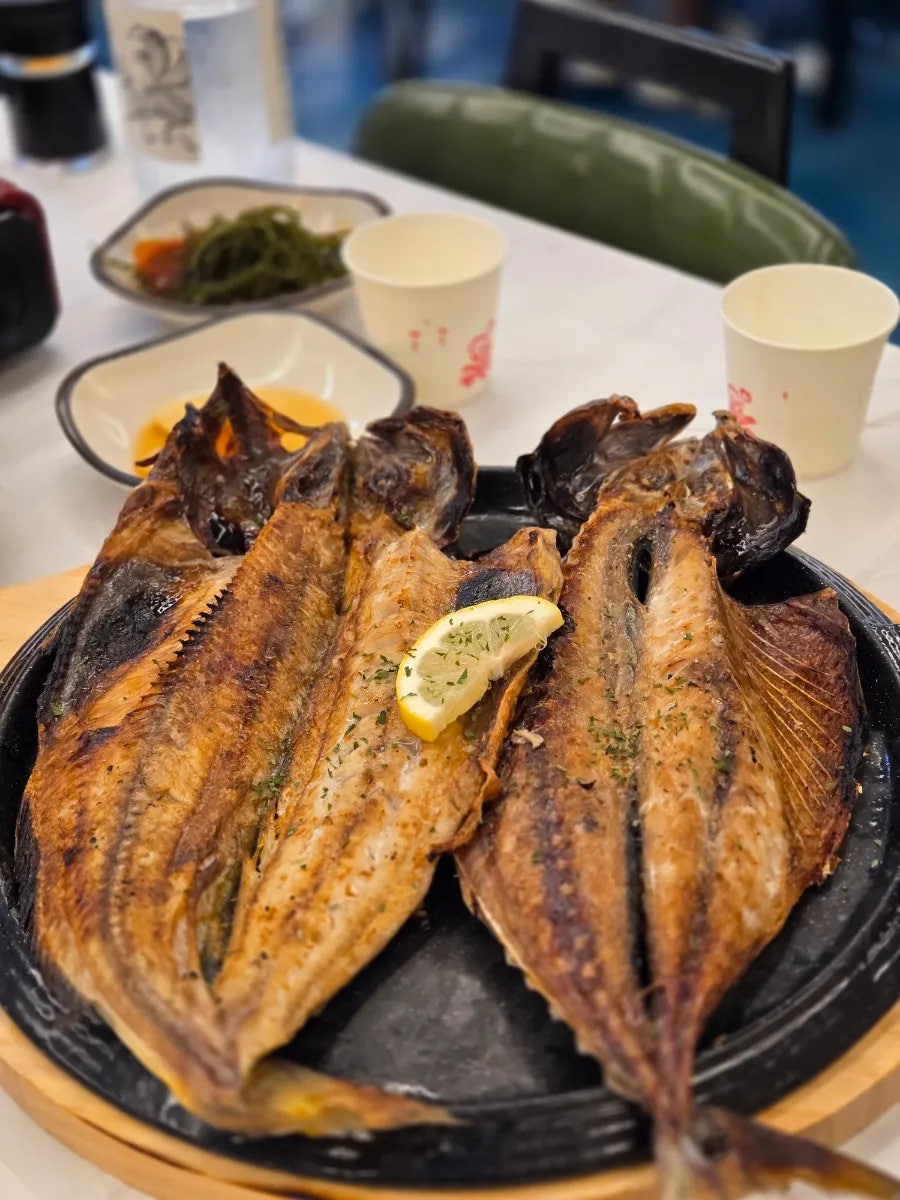봄 사진 4